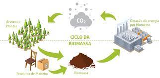 Energia de Biomassa | Trash2Money